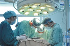 ������6�ְ�֢�������赼�µ�