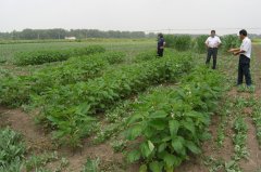 �Ȱ�������Ԥ����������?